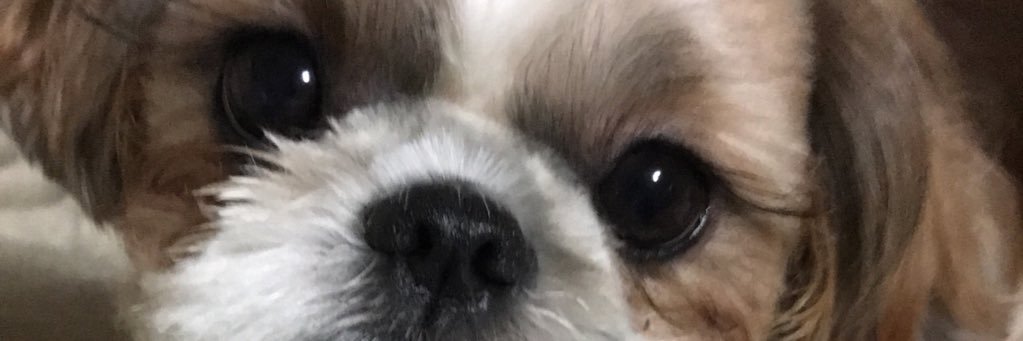 kyuusuke29's profile banner image