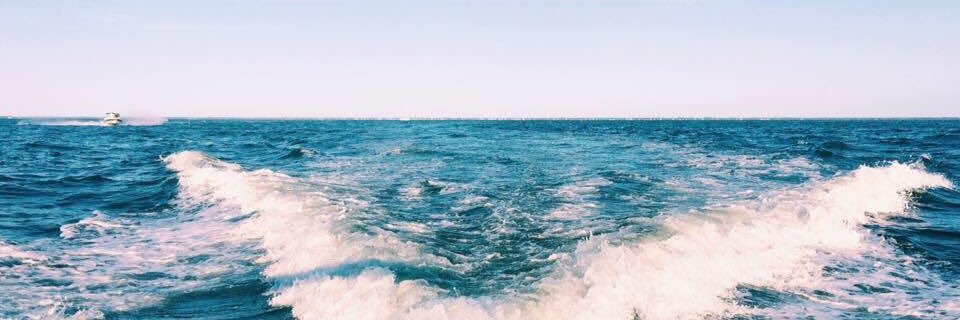 AlexisStephens_'s profile banner image