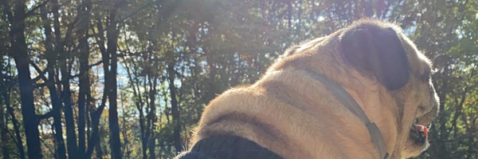 SheniahBlake's profile banner image