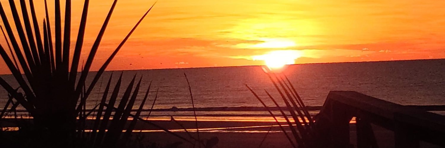 💙💙🐶🐱Alexa 🌊🐾❤️🐾❤️🐾's banner
