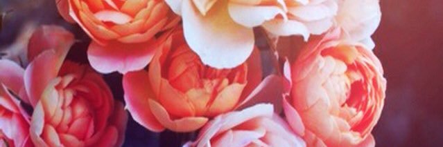 ccurrie424's profile banner image