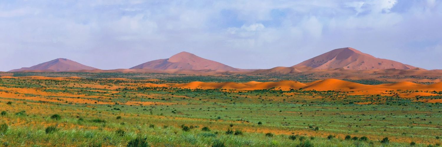 عبدالله البرغش (الجنوبي 2000) banner