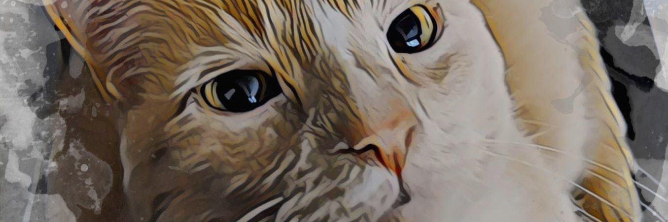cpmiv's profile banner image