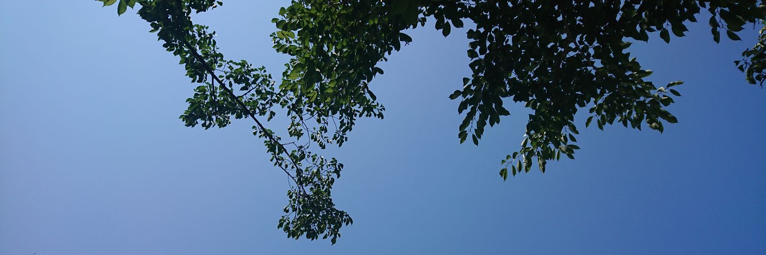 agl__5463's profile banner image