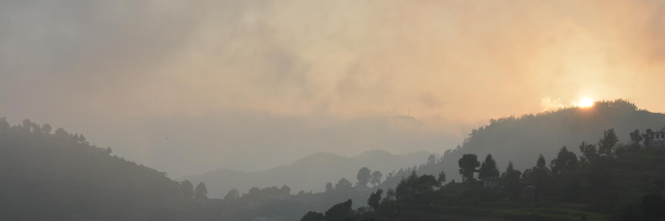 abirnilosey's profile banner image