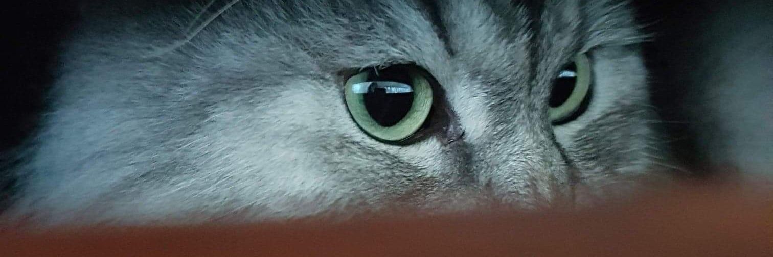 itsemilyhunt's profile banner image