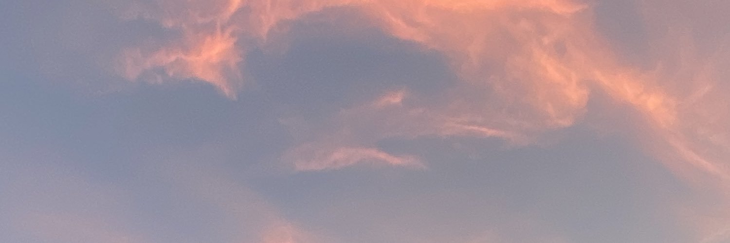 Ryan_Says____'s profile banner image