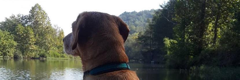 SpclK97's profile banner image