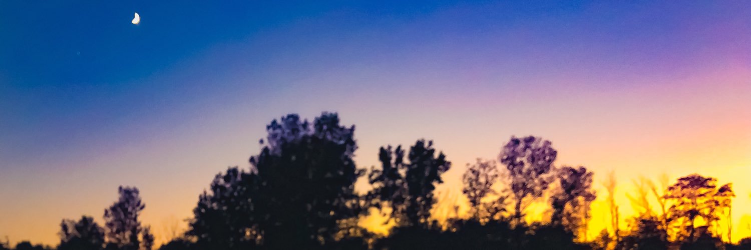 lucxdxty's profile banner image