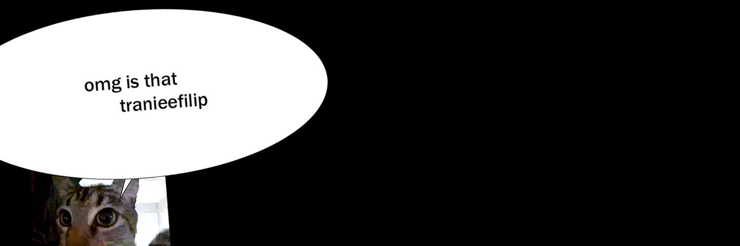traineefilip's profile banner image