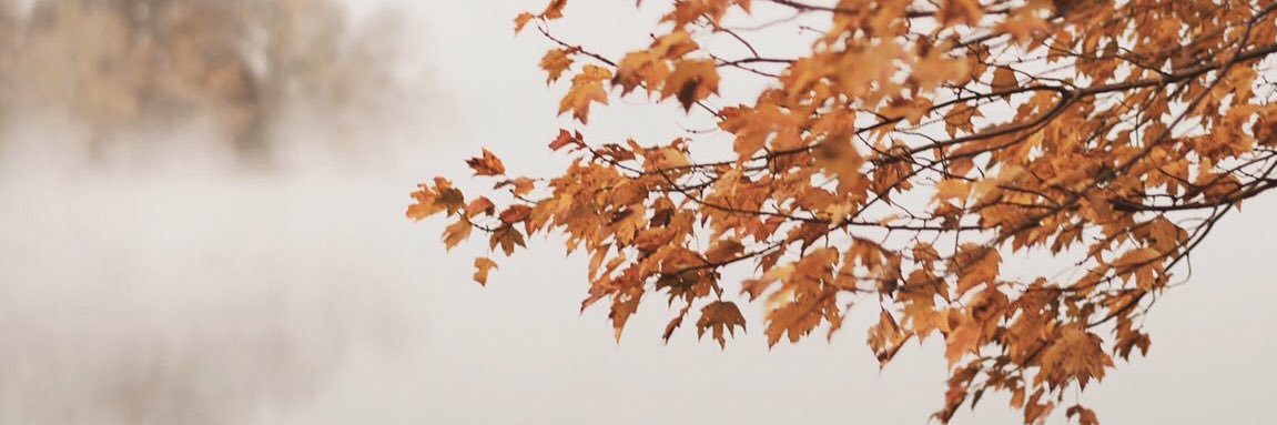 Kris10_Thompson's profile banner image