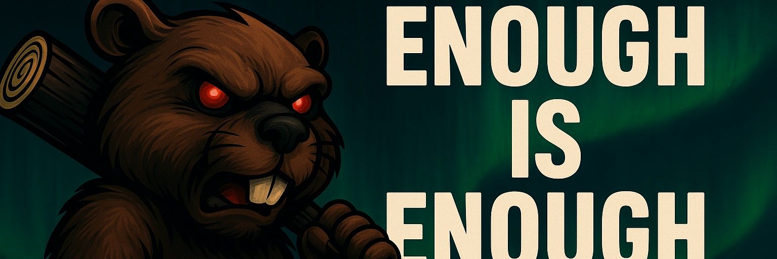 Angry Beaver banner