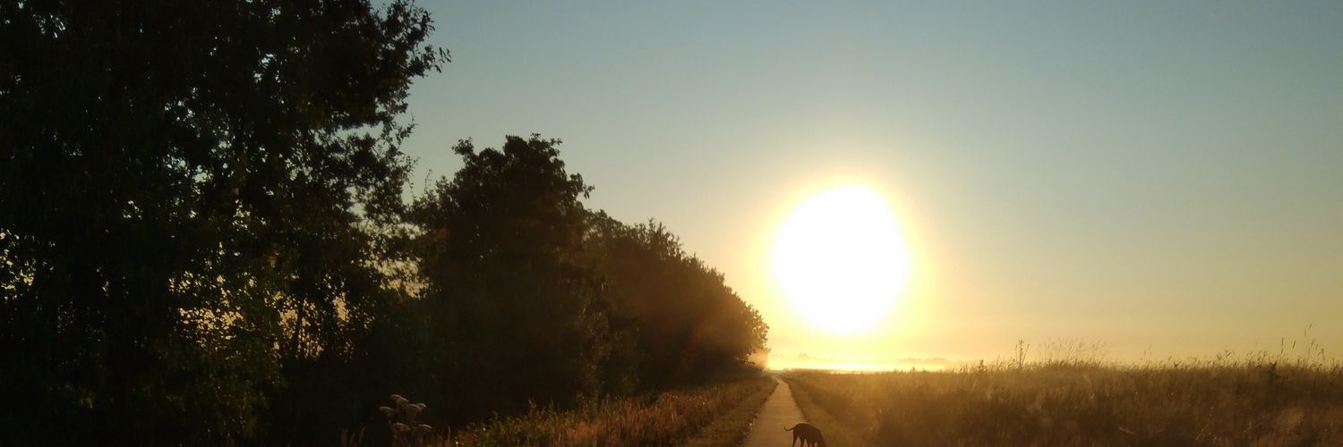 Jolanda 🍀🌻🌷🥂🐶🐾 banner