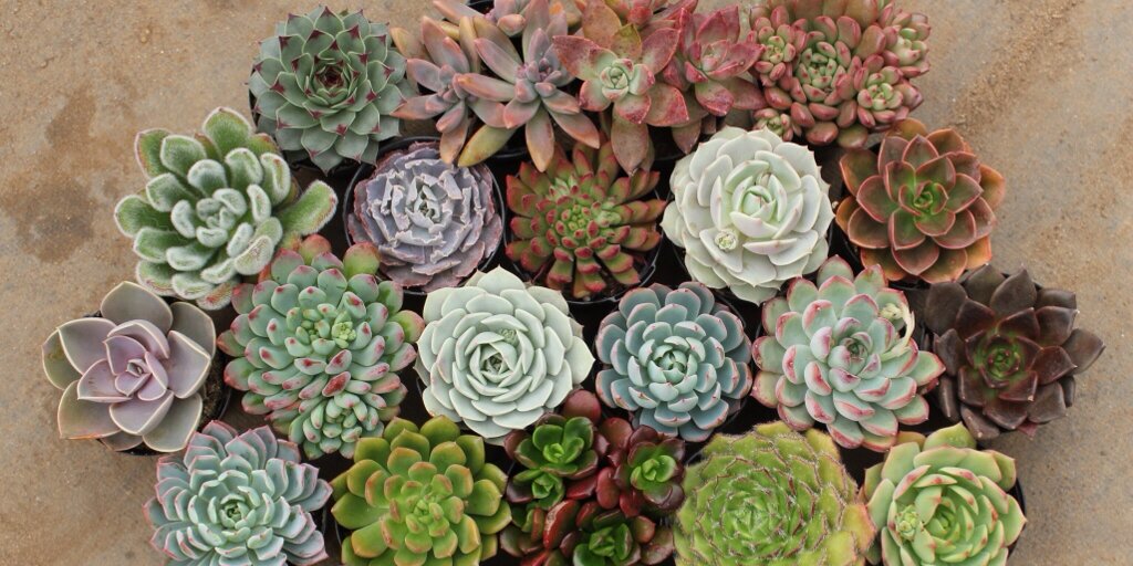 kaylaharris's profile banner image
