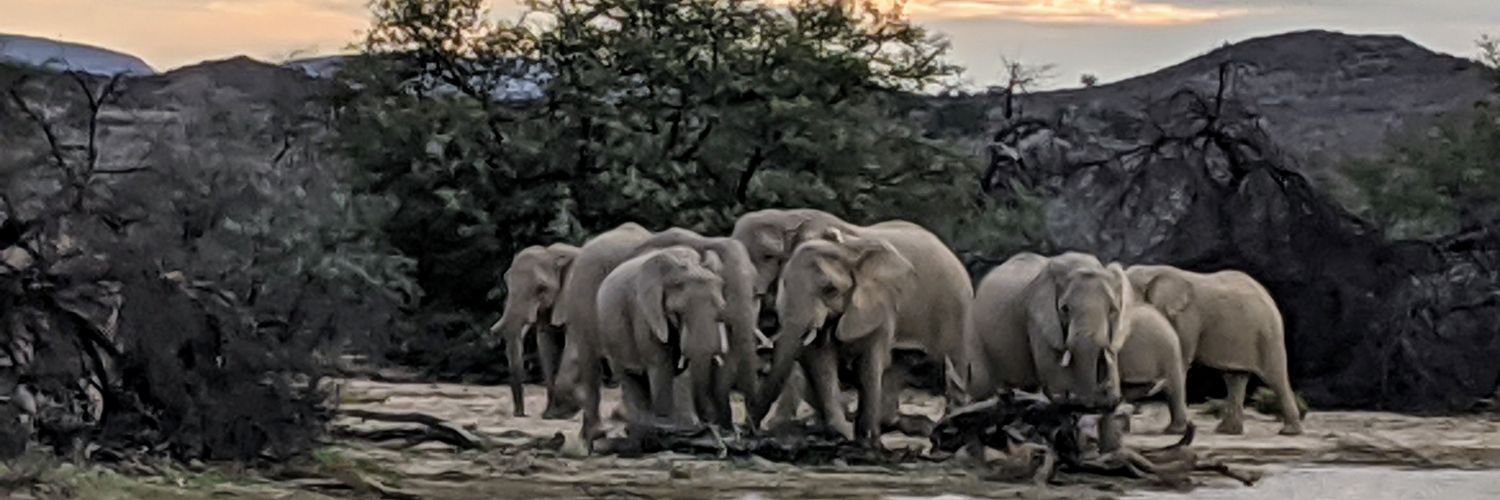 Sruthi Thomas, MDPhDFAAP banner