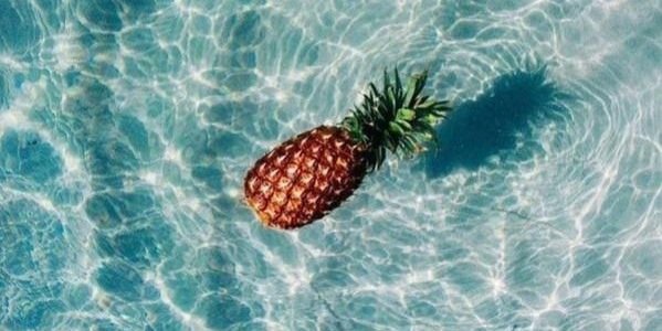 LizArmien's profile banner image
