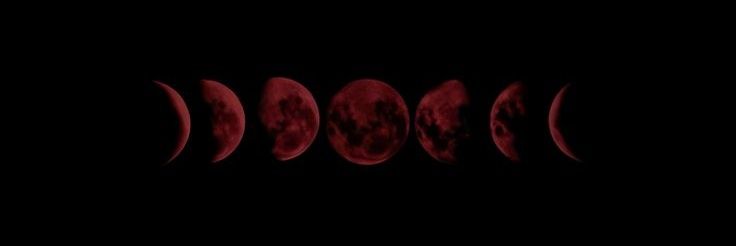 4littlefox's profile banner image