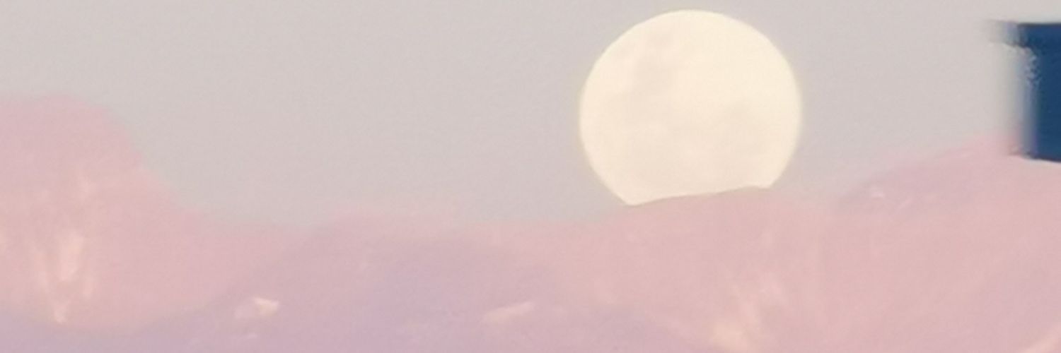 Frida_marmota's profile banner image