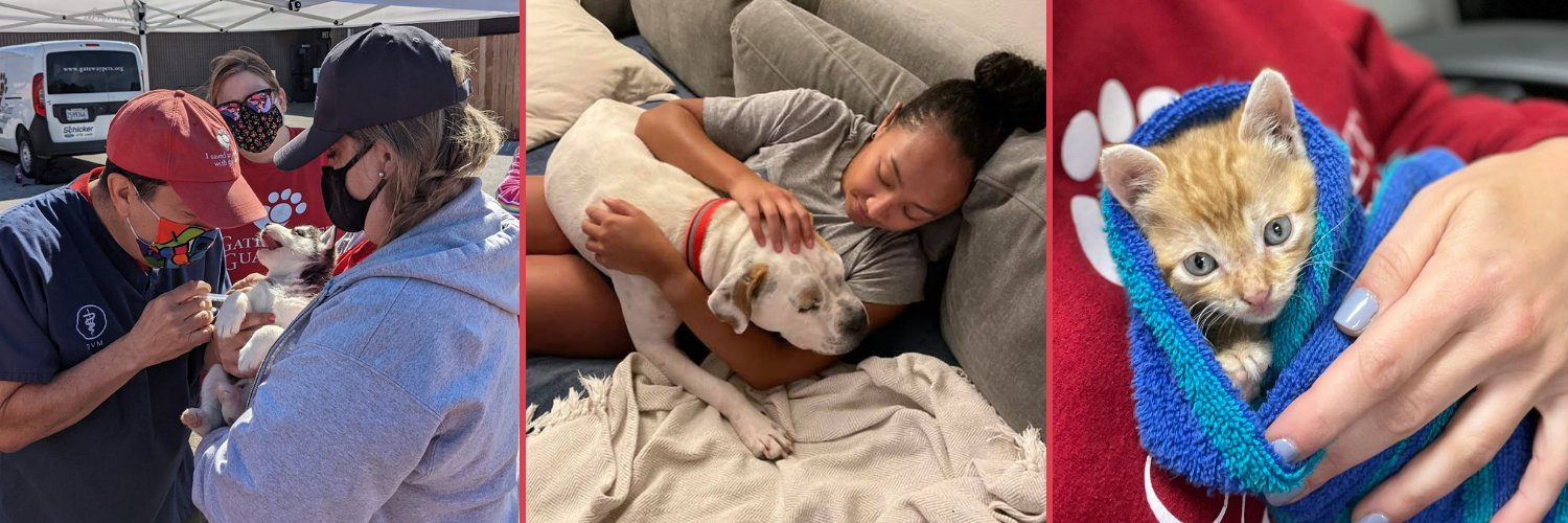 gatewaypets's profile banner image