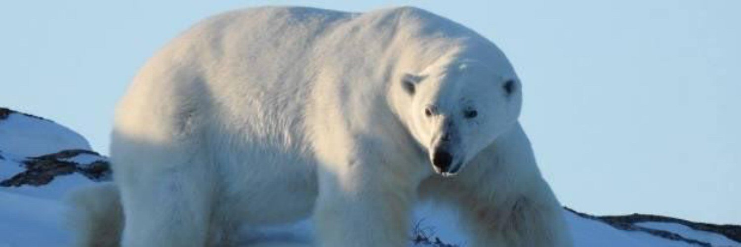 DJ 🇨🇦 🇺🇦 banner