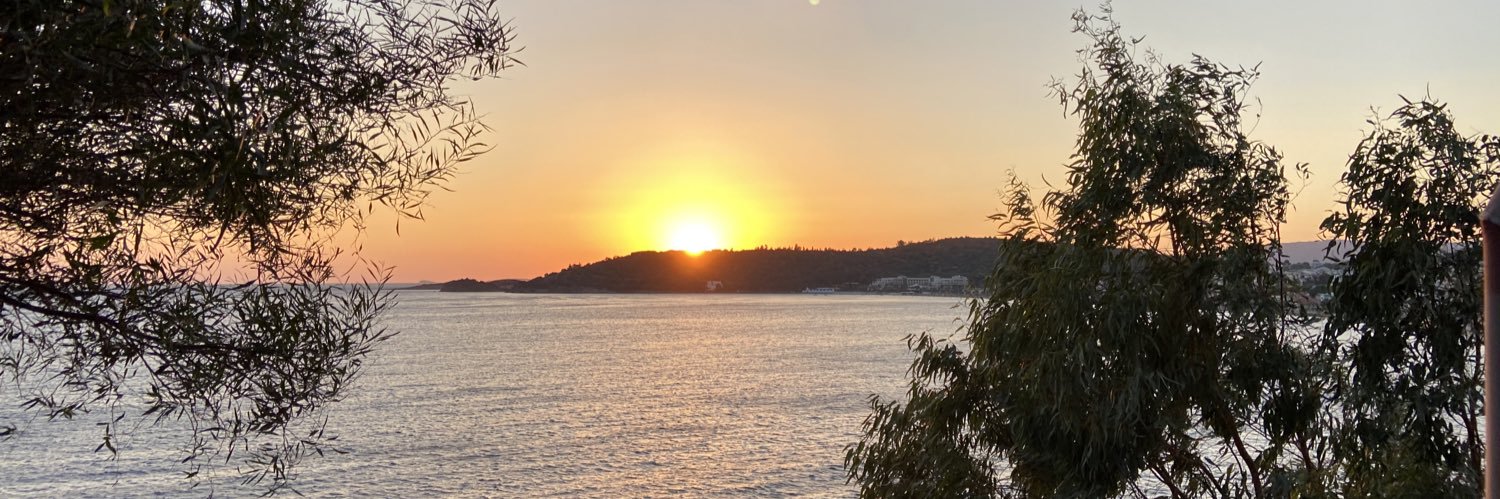 kullanimsizzeka's profile banner image