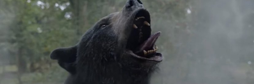 JFlo22's profile banner image