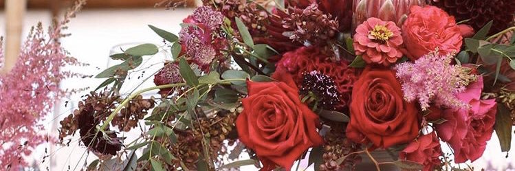 lyn_hearn's profile banner image