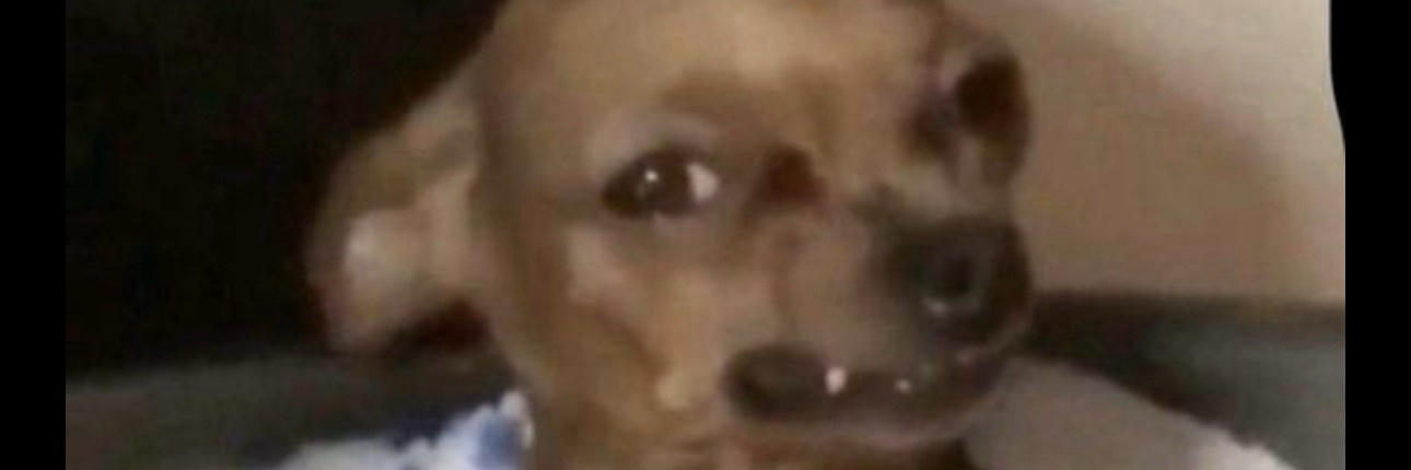 Symone_Bad's profile banner image