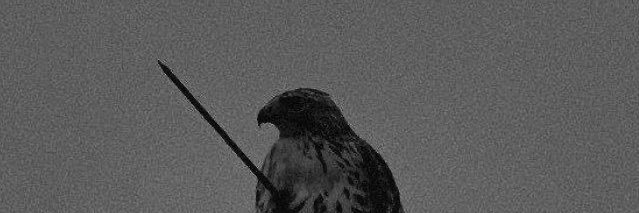 Adhamabboudd's profile banner image