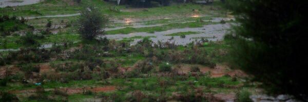 khalideleridy Profile Banner