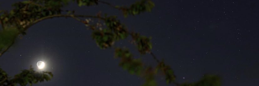 Allyyaa11's profile banner image