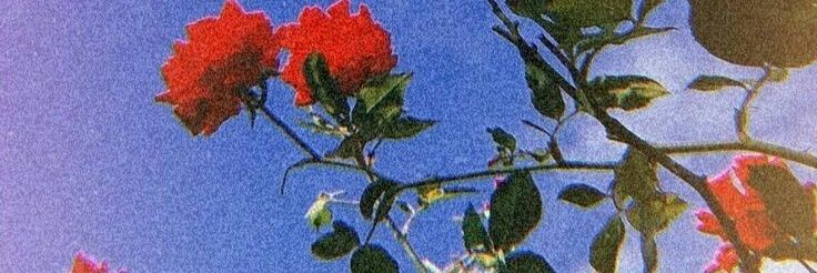 ImPuure's profile banner image