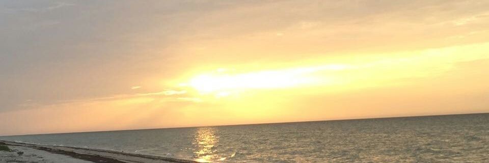 yamisca_22's profile banner image