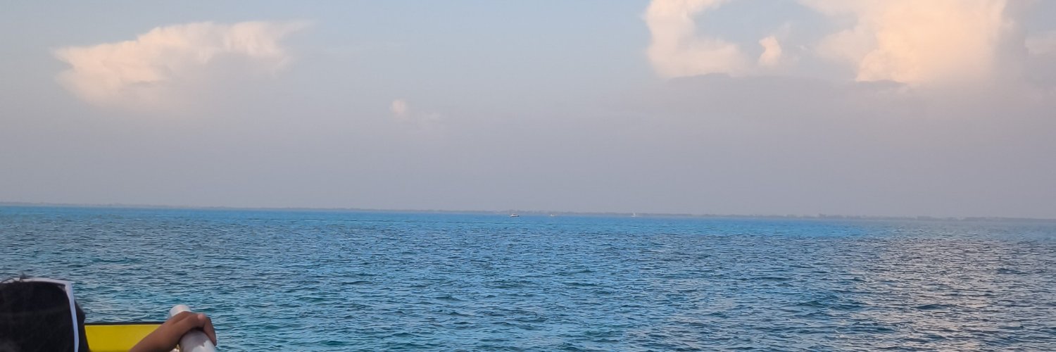 artau's profile banner image