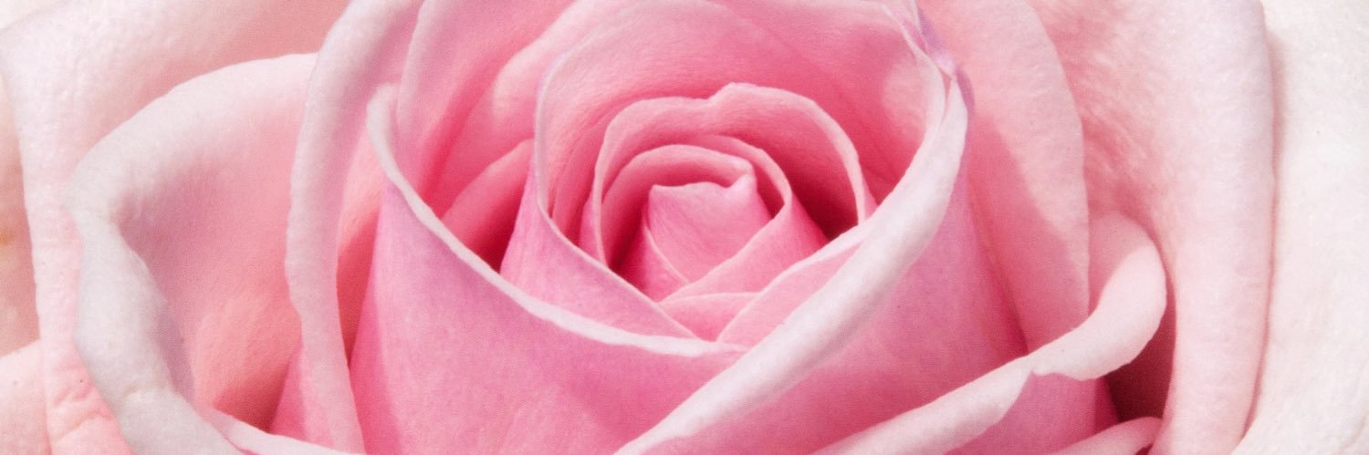 JustHaylie's profile banner image