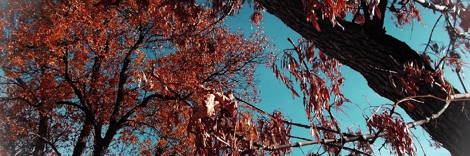 Jae_Baby's profile banner image