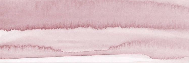 ShDanne's profile banner image