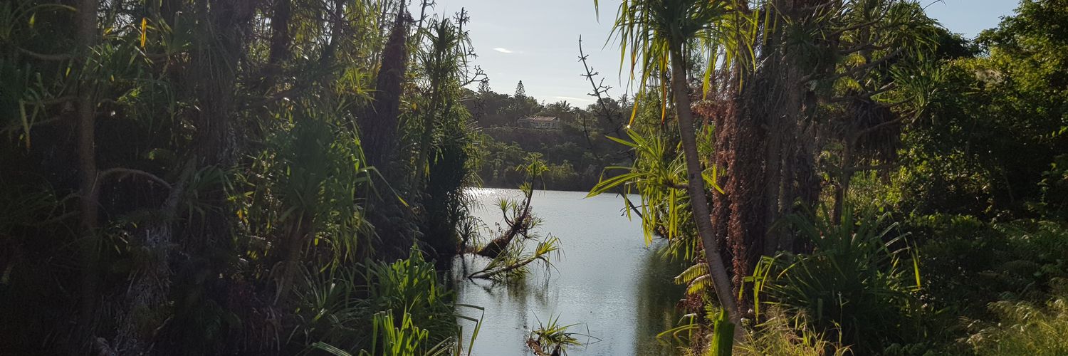 Tássio Rosário 🇲🇿 banner