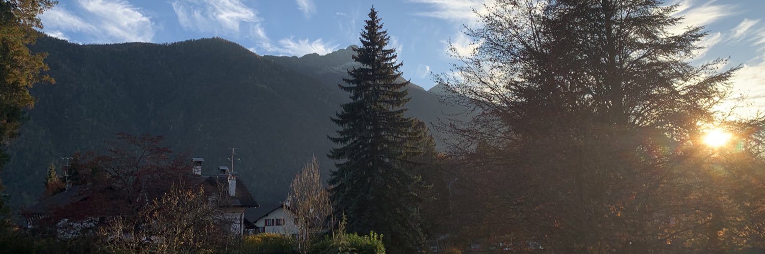 VirginiaInverni's profile banner image