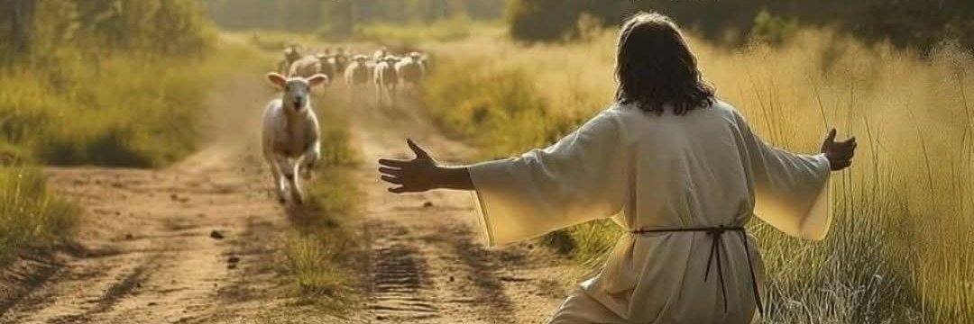 MyIrishBlessing banner