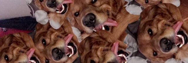 blingle33's profile banner image