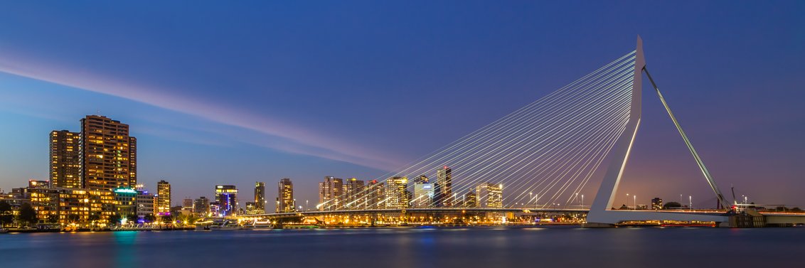 Dylan banner