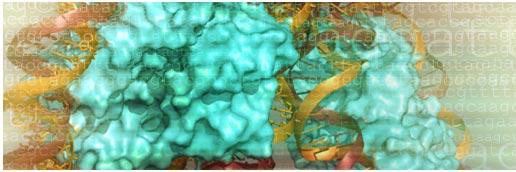 segal_lab's profile banner image