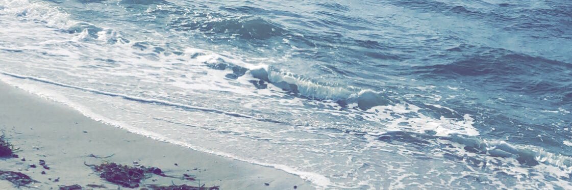 EmilySalamone's profile banner image