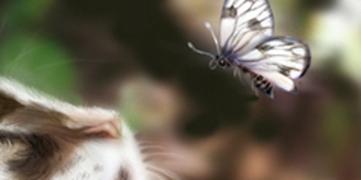 TomorrowComes_'s profile banner image
