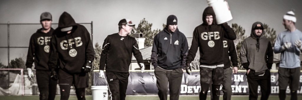 HiPro Hitting Co. banner