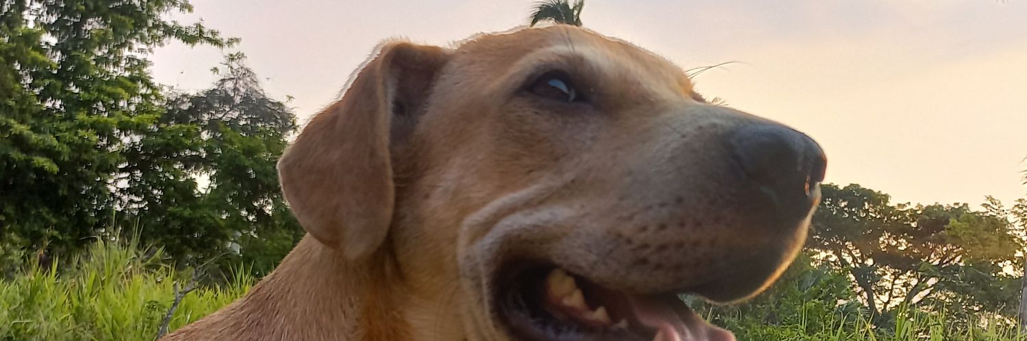🅿️ banner