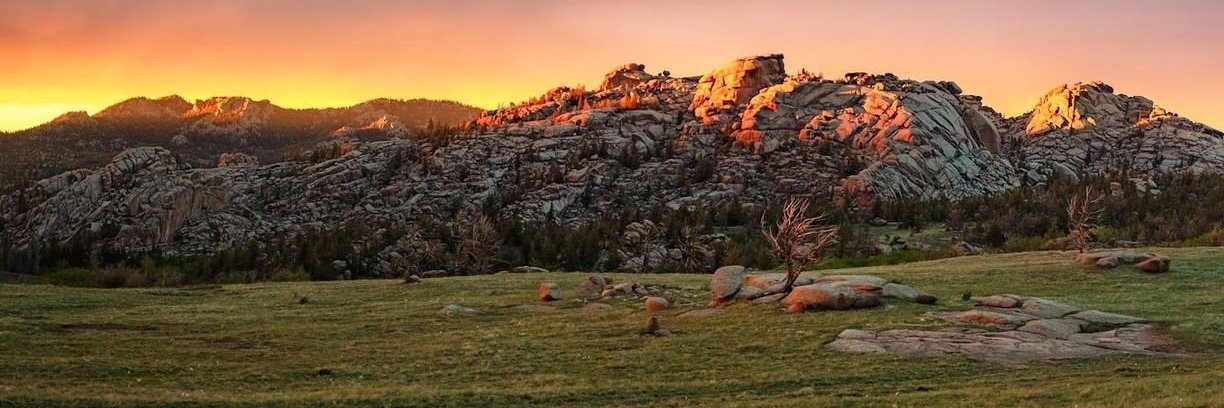 UW Program in Ecology banner