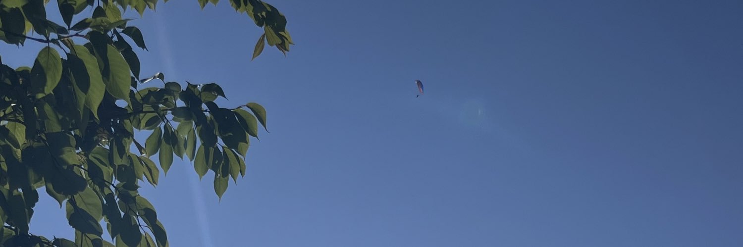 Daisy 'Duke' Coleman banner