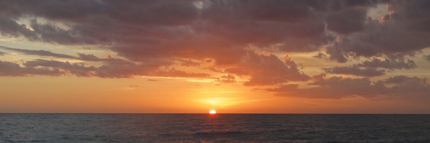 allisonmurphhy's profile banner image